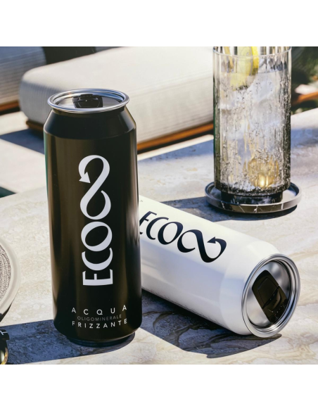 Acqua Recoaro frizzante - Cestello 24 lattine 0,50 lt