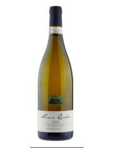 Gavi DOCG “Nuovo Quadro” –...